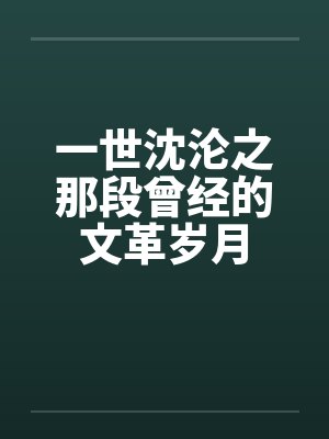 一世沈沦之那段曾经的文革岁月 一世沈沦之那段曾经的文革岁月