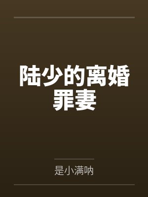 陆少的离婚罪妻 陆少的离婚罪妻